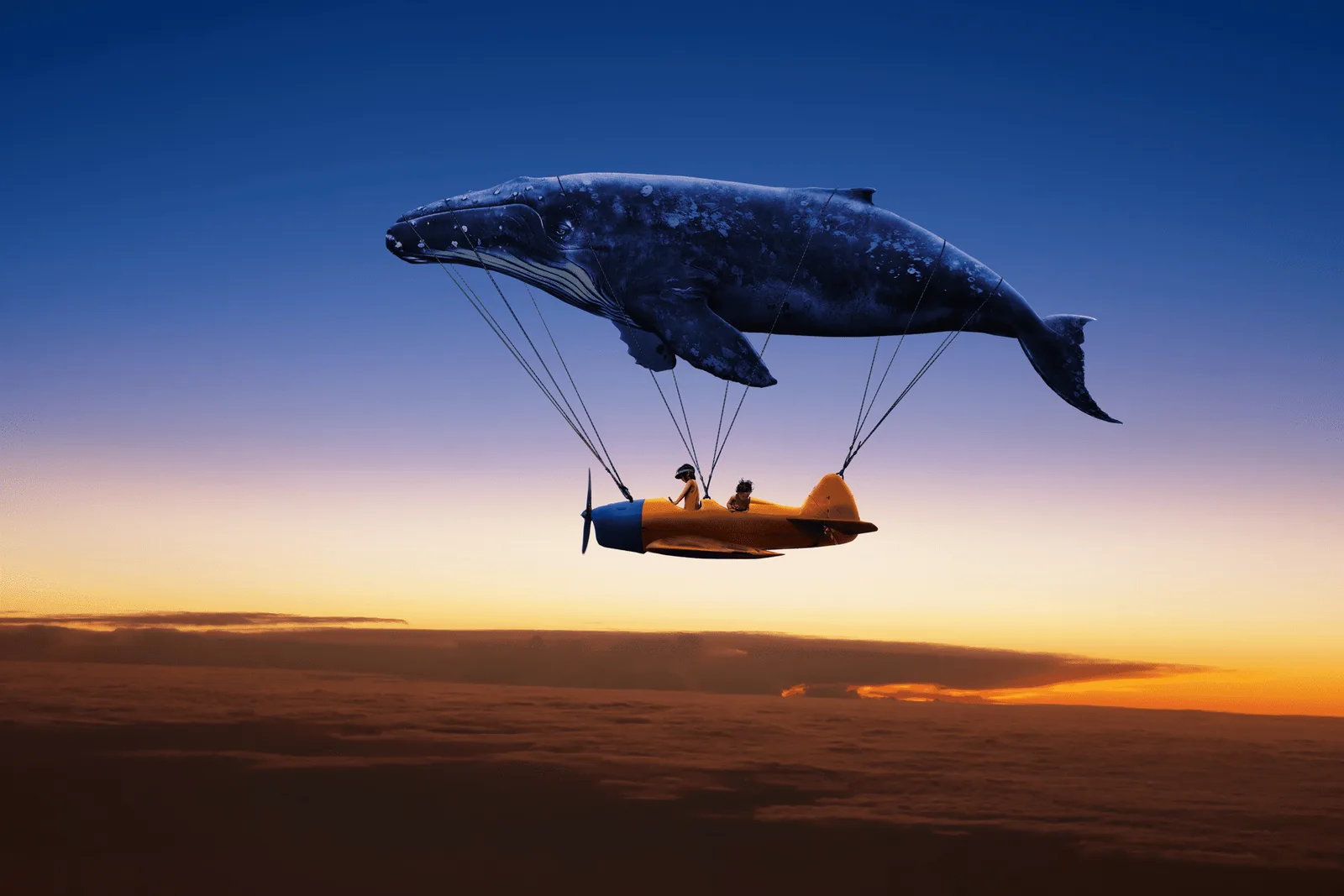 Illustration: Flugzeug mit Pottwal beim Sonnenuntergang, Geburtsvorbereitung Mentaltraining