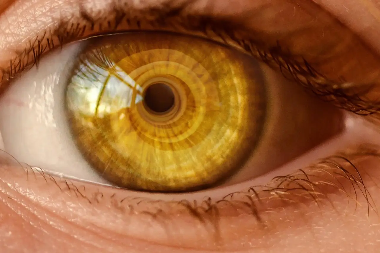Nahaufnahme eines Auges mit goldbrauner Iris und detaillierter Pupille