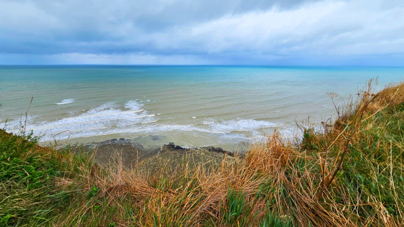 Meereswellen und grüne Gräser am Strand mit Horizont und bewölktem Himmel