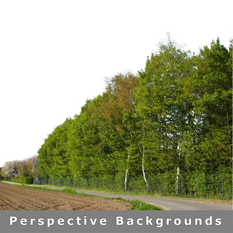 Perspektivische Landschaftsansicht mit Straße, Feldern und Bäumen für Photoshop-Komposition