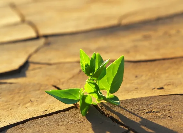 Stressabbau und Resilienztraining Konzept mit Yoga und Achtsamkeit