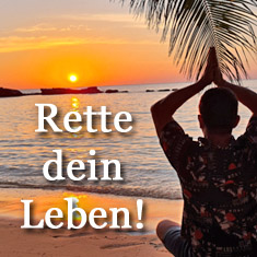 Die 7 Schritte zum wahren Sinn deines Lebens – Berufungs-Videokurs 3 Frau bei Sonnenuntergang am Strand mit Text Rette dein Leben