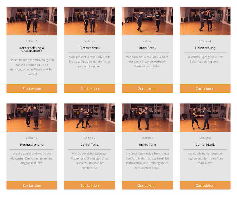 Übersicht Salsa Online Kurs mit 8 Lektionen von Grundlagen bis Mittelstufe