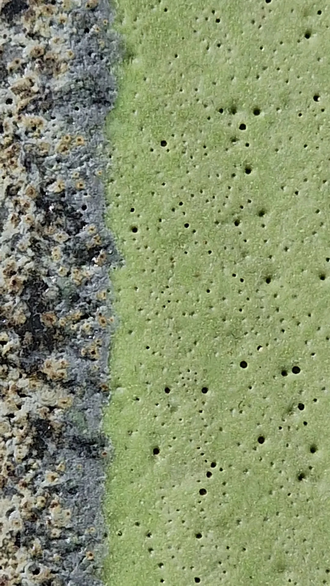 Schienenzug, bauchige Gefäße und Schalen von Tonhaus Akademie 4 Getöpfertes bauchiges Gefäß, Beispiel aus dem Schienenzug Kurs