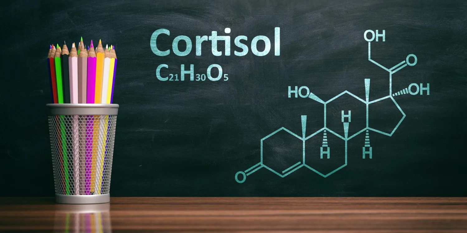 Cortisol zu hoch? Als Neurologe zeige ich dir, wie du dein Nervensystem in 5 Minuten beruhigst