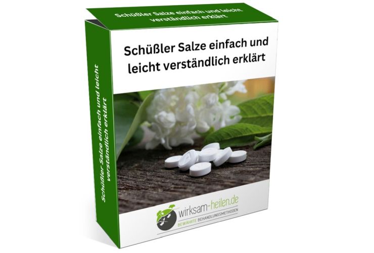 Produktbox Schüßler Salze Kurs mit grünem Design, weißen Tabletten und Heilpflanze