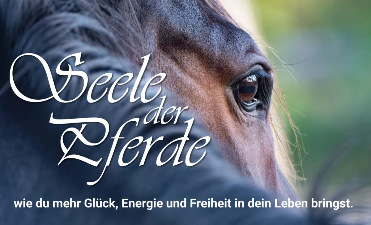 Banner Seele der Pferde Kongress mit Pferdekopf-Nahaufnahme und weißem Text
