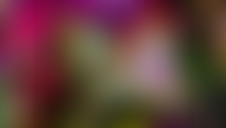Abstrakte farbige Grafik mit rosa, violett und grünen Farbverläufen