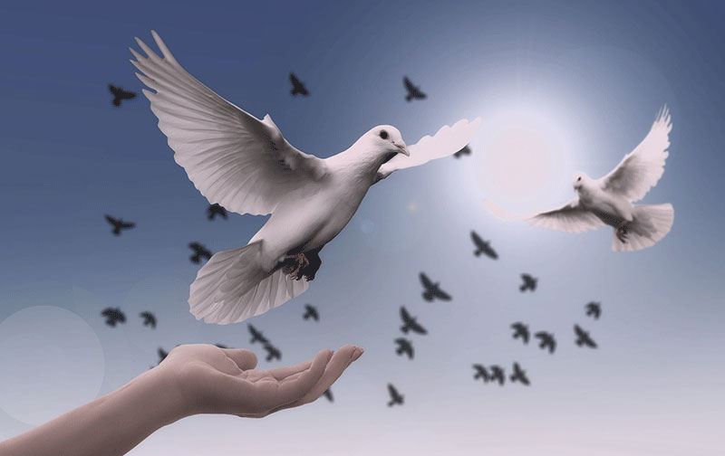 Weiße Friedenstauben fliegen über einer offenen Hand vor blauem Himmel, symbolisiert Freiheit und Spiritualität