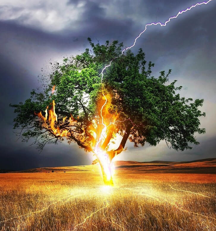 Baum mit Blitzschlag und Feuer, Sturm am Himmel, Metapher für Krisen