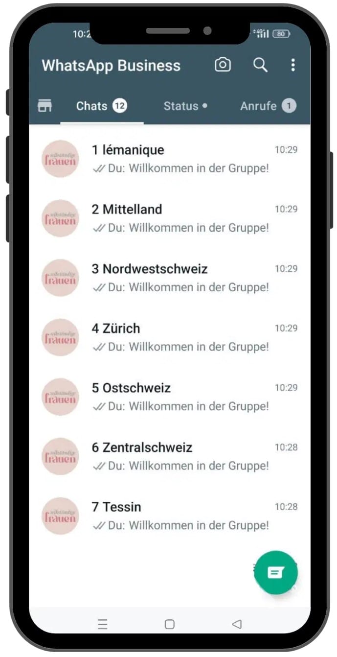 Screenshot von WhatsApp Business mit regionalen Community-Gruppen für verschiedene Schweizer Kantone