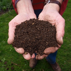 Zwei Hände halten dunkle, krümelige Gartenerde mit reichhaltigem Humusgehalt