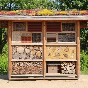 Holz-Insektenhotel mit verschiedenen Nistkammern aus Holz, Stroh, Rinde und Totholz, begrünt