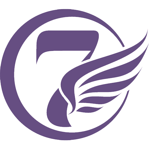 sevenwomanwings