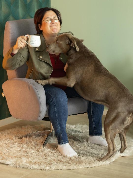 Frau sitzt im Sessel mit Kaffeetasse, Hund springt liebevoll an ihr hoch