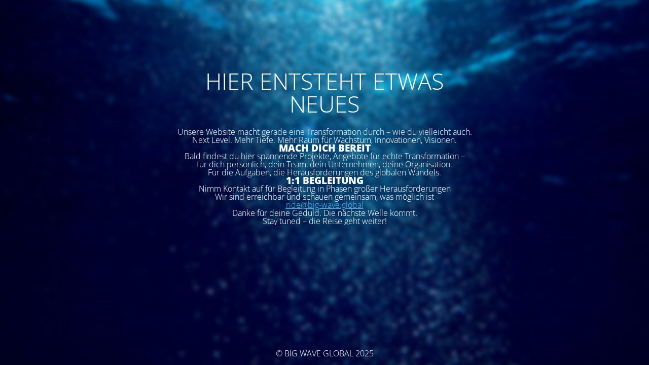 Shine! Online – Ansicht der Verkaufsseite