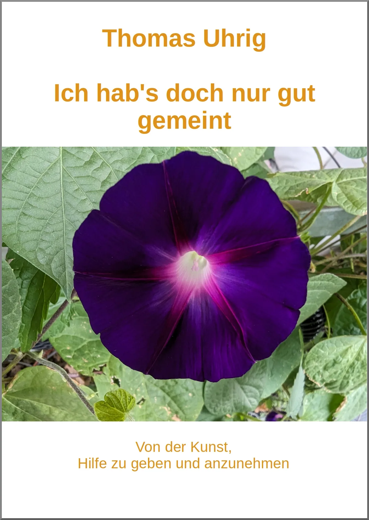 Buchcover mit Titel und violetter Winde - Thomas Uhrig: Ich hab's doch nur gut gemeint