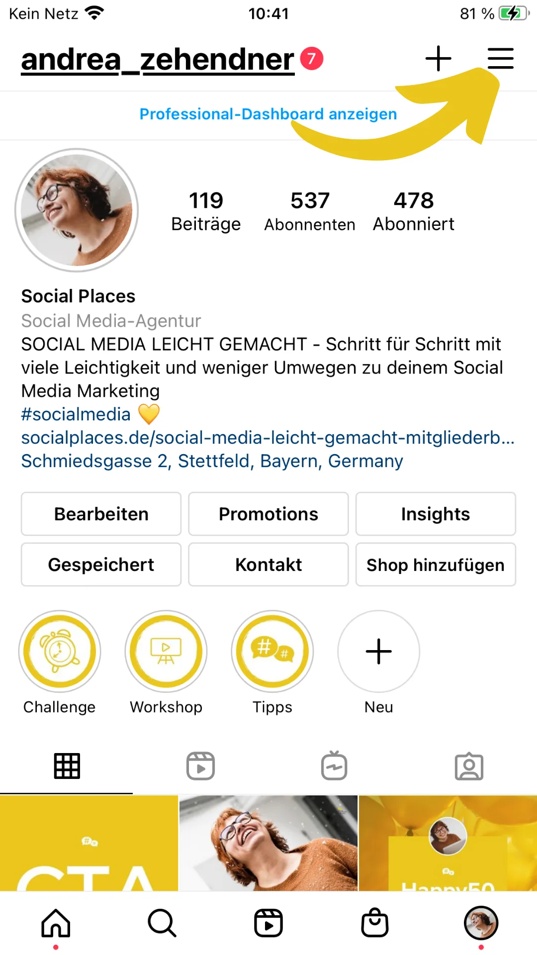 Social Media Inhalte leicht gemacht – Content-Paket mit Vorlagen 8 Instagram-Profil von Andrea Zehendner zeigt 119 Beiträge, 537 Abonnenten mit Challenge, Workshop und Tipps Funktionen