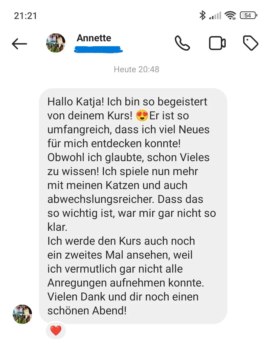 Kundenstimme von Annette zum Katzenspielekurs mit positiver Bewertung