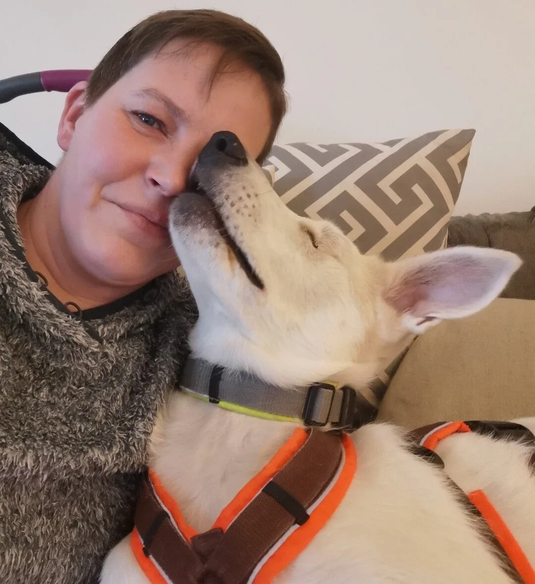 Trainerin mit hellgrauem Hund auf Sofa, Nahaufnahme lachend