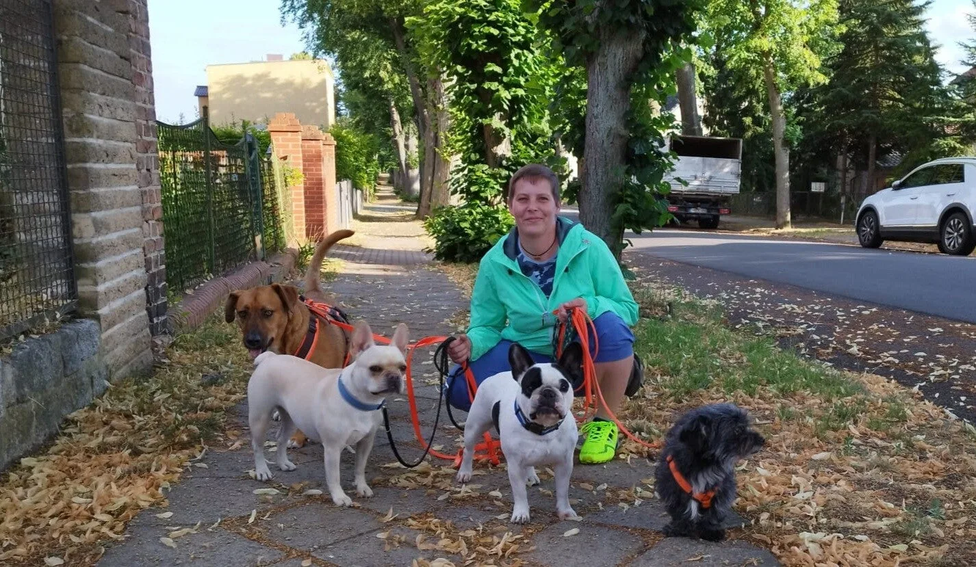Trainerin mit vier Hunden verschiedener Größen an Leinen auf Straße mit Bäumen