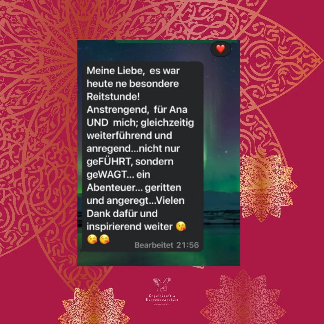 Kundenstimme in WhatsApp-Chat-Optik auf gemustertem rosa Hintergrund