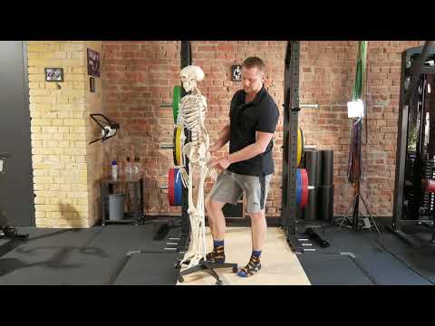 Mann demonstriert anatomische Bewegung an Skelettmodell in Fitnessstudio mit Backsteinwand
