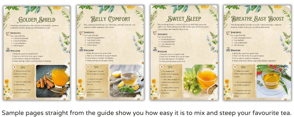 The Herbal Remedy Companion – E-Book über Kräuter-Hausmittel 19 Inhaltsübersicht Herbs for Health mit Kräuterthemen