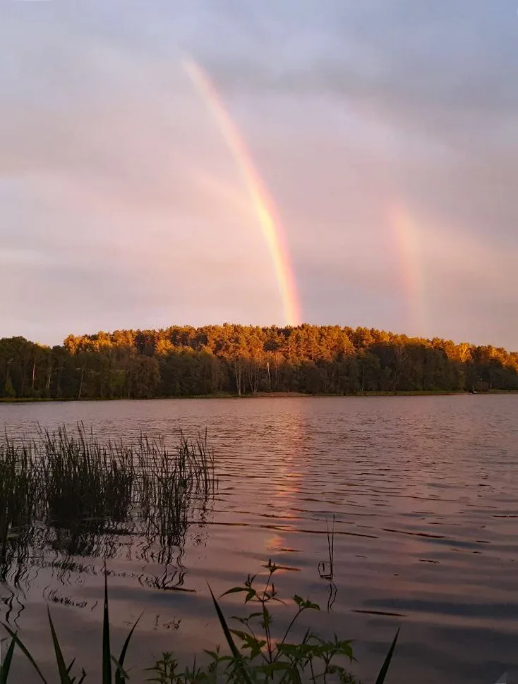 Regenbogen über See mit Ufervegetation und Wald bei Sonnenuntergang