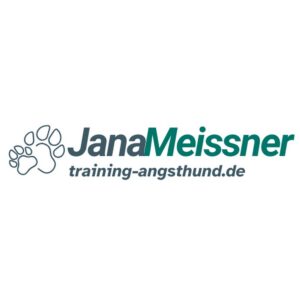 Training-Angsthund