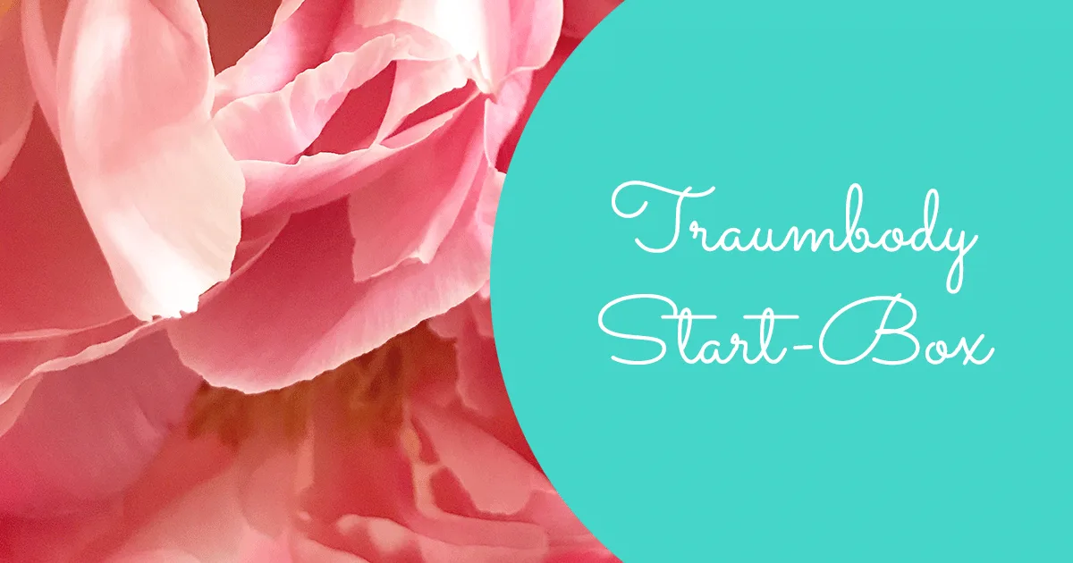 Traumbody Start-Box Hero-Image mit rosa Blüte und türkisem Hintergrund