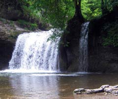 Wasserfall in grüner Waldlandschaft mit Felsen im Wasser
