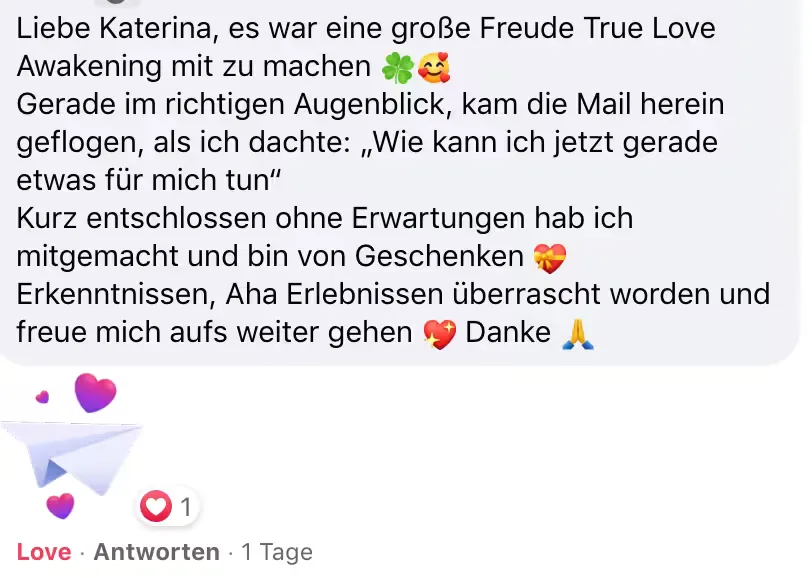 Kundenstimme zum True Love Awakening Workshop