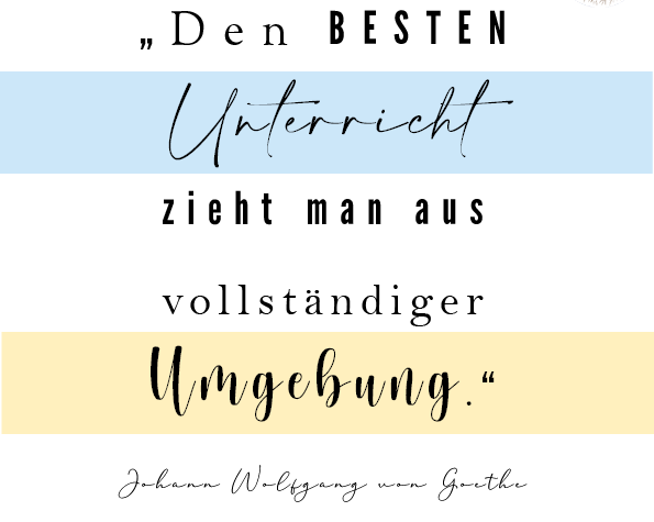 Zitat-Grafik: Den BESTEN Unterricht zieht man aus vollständiger Umgebung