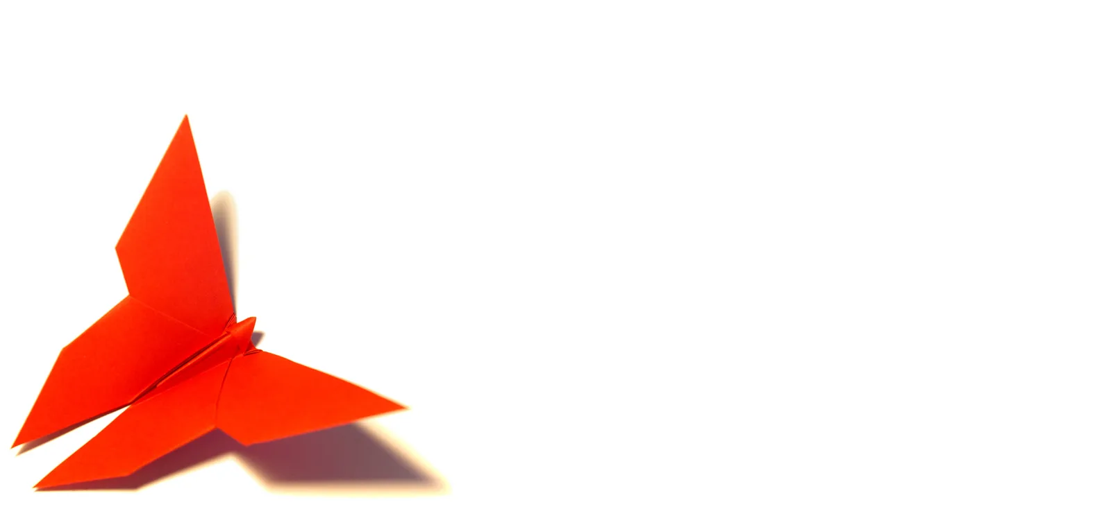 Rotes abstraktes Schmetterlings-Symbol oder Vogel-Motiv mit Schatten auf hellem Hintergrund