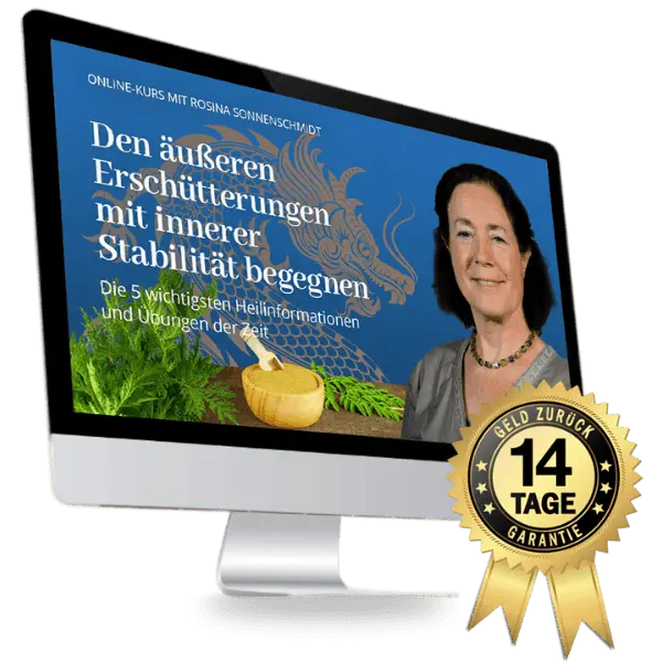 Mockup eines iMac-Bildschirms mit Wald-Drachen Kursseite, Porträt von Rosina Sonnenschmidt und Garantie-Siegel