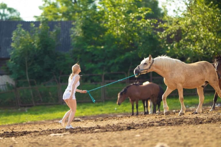 Kind in weißem Kleid führt helles Pferd an Halfter auf sandiger Fläche