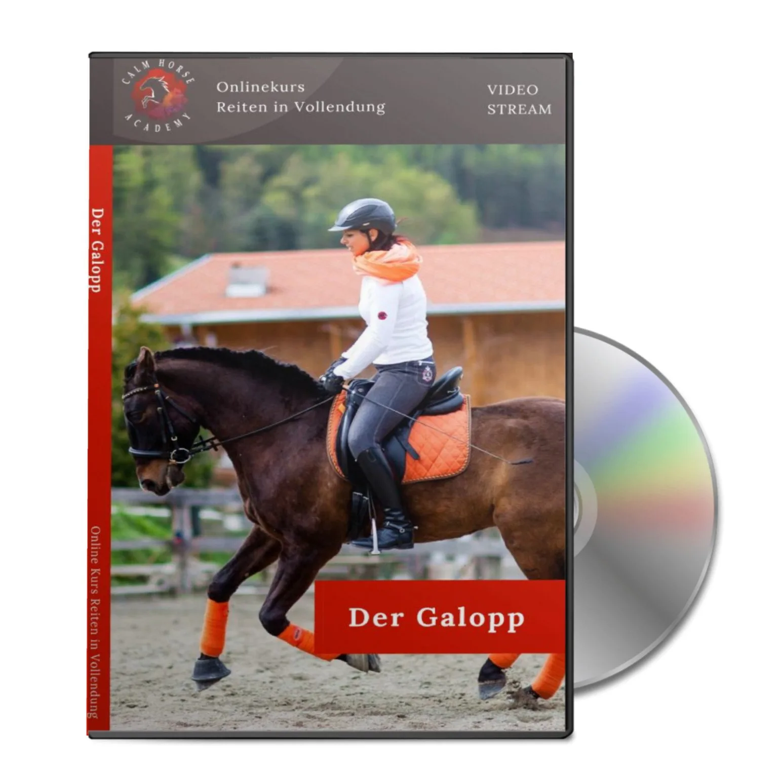 DVD-Cover Der Galopp – Onlinekurs Reiten in Vollendung mit Reiterin auf braunem Pferd im Galopp
