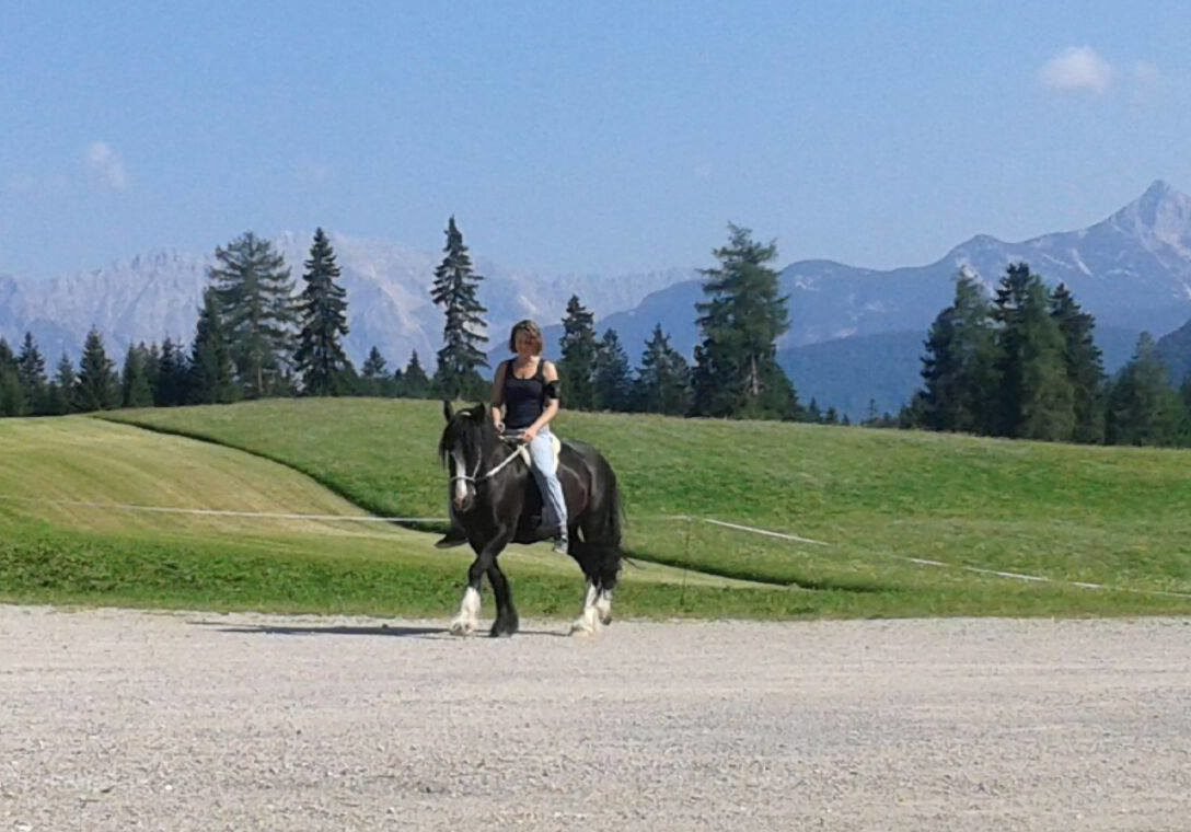 Reiterin auf schwarzem Pferd in grüner Berglandschaft mit Waldhintergrund
