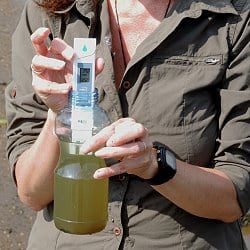 Hände halten Messgerät über Behälter mit gelblich gefärbtem Seewasser