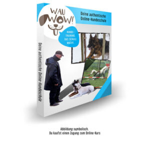 WauWow Online-Hundeschule Produktbox mit Logo, Trainer und Hunden, Mockup