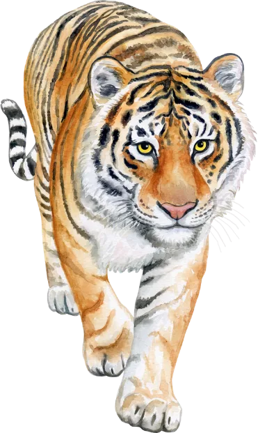 Wecke den Tiger – Live-Seminar zur Selbstheilung von Lea Hamann 5 Tigermotiv Kursvisualisierung