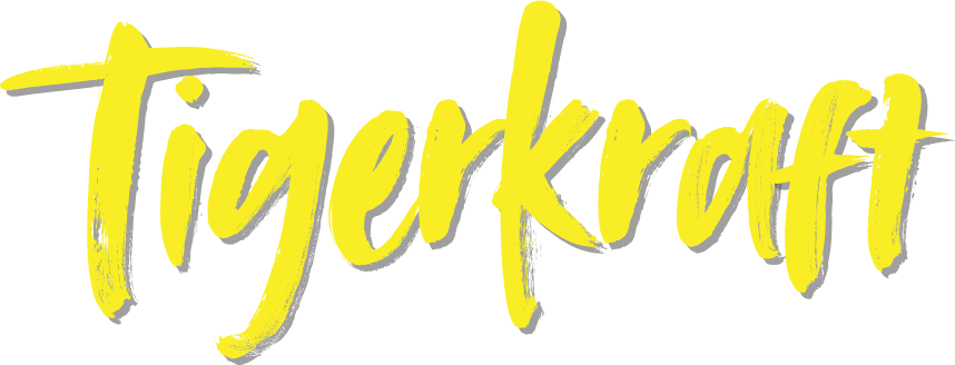 Wecke den Tiger – Live-Seminar zur Selbstheilung von Lea Hamann 8 Tigerkraft Trainingsvisualisierung