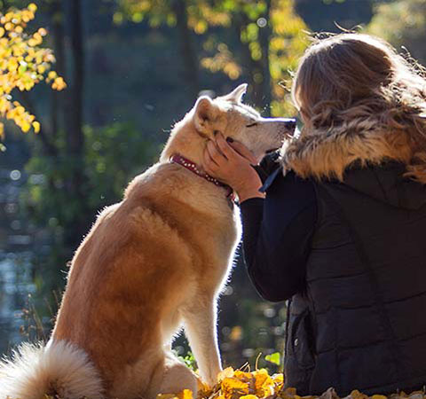 Werde ein Leuchtturm für dein Tier – Heilmeditationen als Audio 3 Frau streichelt rot-weißen Hund am Seeufer mit Herbstlaub – Mobilversion