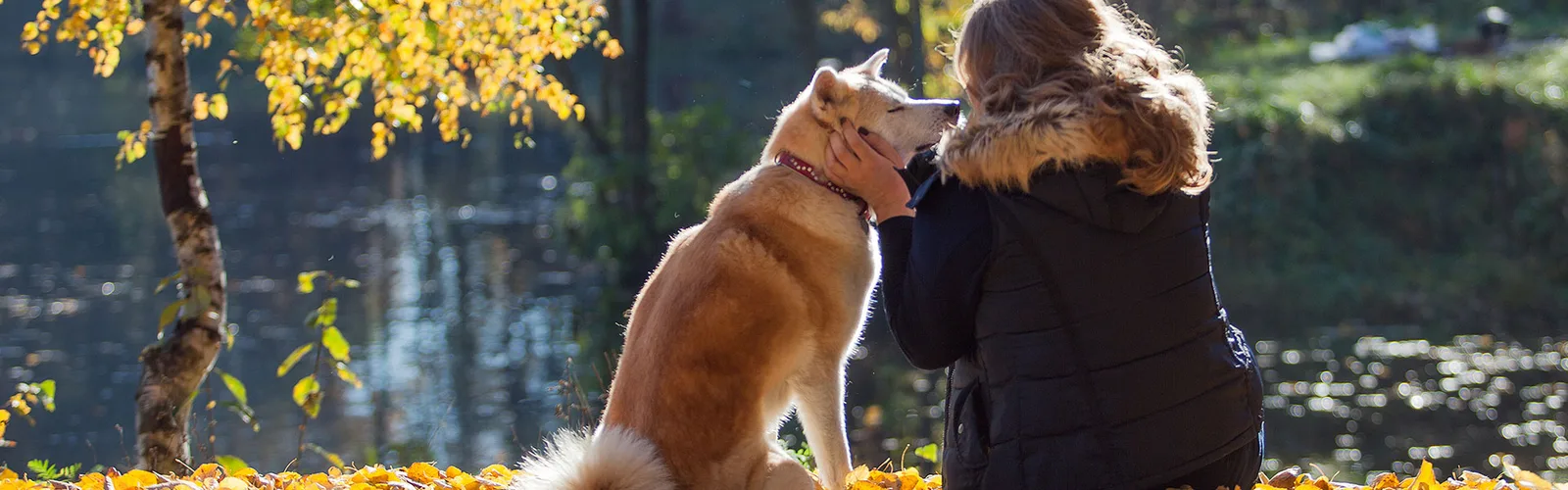 Werde ein Leuchtturm für dein Tier – Heilmeditationen als Audio 5 Frau streichelt rot-weißen Hund am Seeufer mit goldenem Herbstlaub