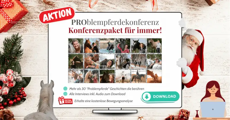 Aktionsbanner PROblempferdekonferenz mit weihnachtlichem Hintergrund, 30+ Experten-Thumbnails und Santa-Figur