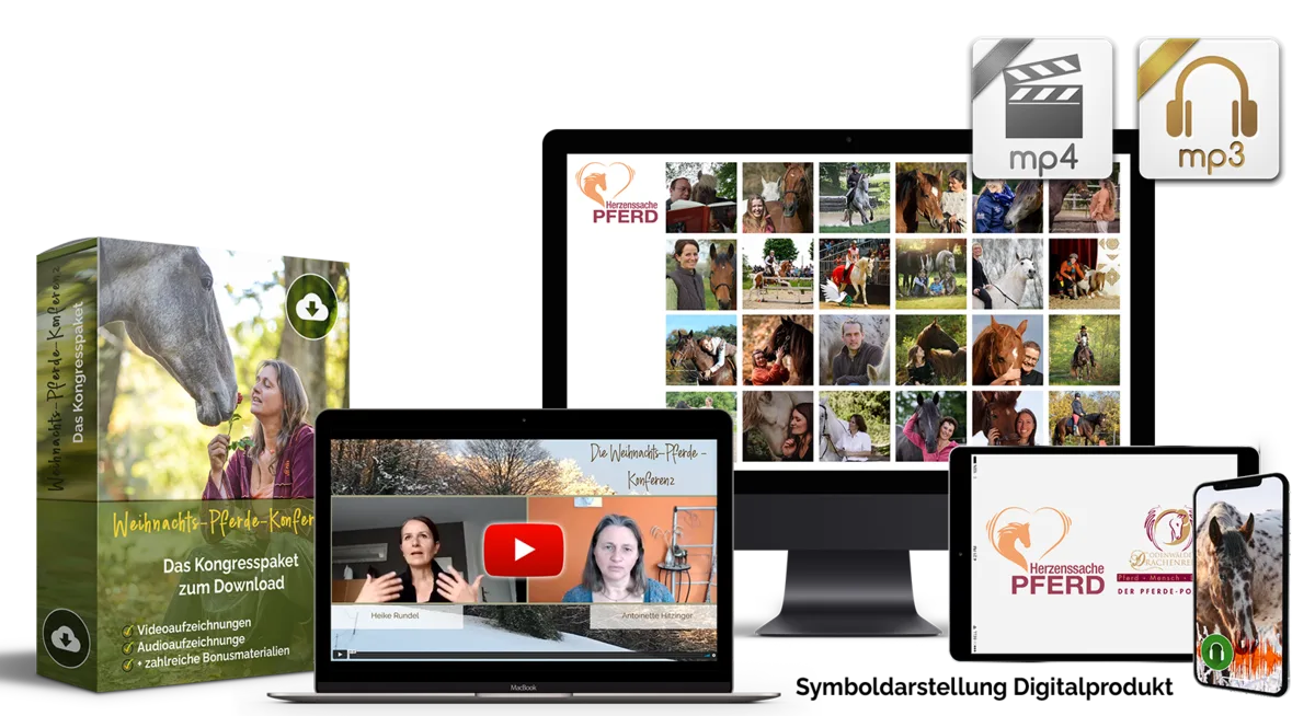 Mockup des Konferenzpakets mit Produktbox, Laptop, Video-Grid, Smartphone und Download-Icons (MP4, MP3)