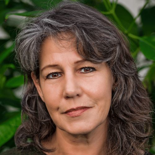 Christel Ströbel Porträt, dunkle schulterlange Haare, grüner Hintergrund, nachdenklicher Blick