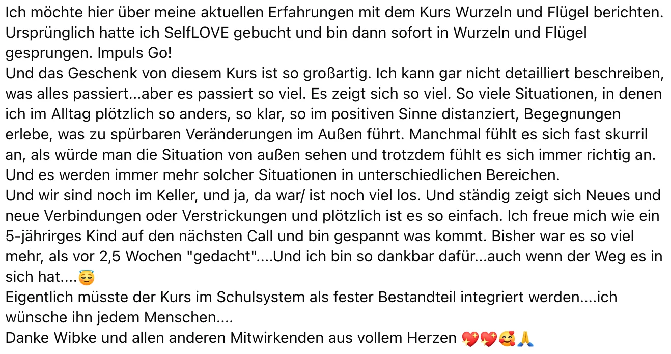 Detaillierter Kundenbericht über Kurs-Auswirkungen im Alltag und persönliches Wachstum
