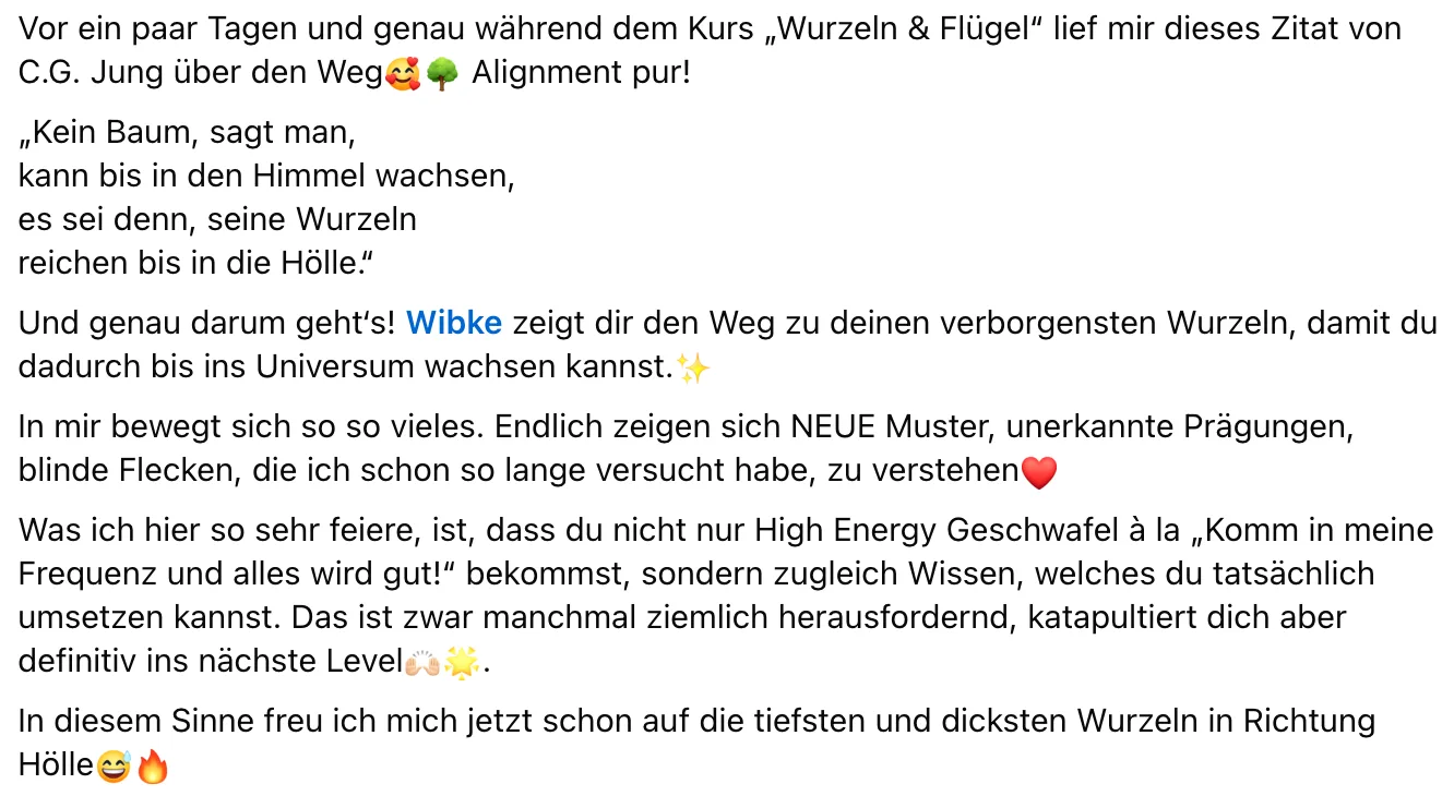 Kundenbericht mit C.G. Jung Zitat und tiefgreifenden Erkenntnissen zum Kurs